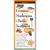 Common Mushrooms of the Pacific Northwest Folding Field Guide at Northwest Nature Shop in Ashland Oregon