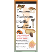 Common Mushrooms of the Pacific Northwest Folding Field Guide at Northwest Nature Shop in Ashland Oregon