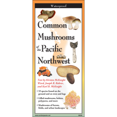 Common Mushrooms of the Pacific Northwest Folding Field Guide at Northwest Nature Shop in Ashland Oregon