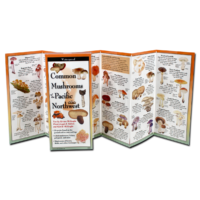 Common Mushrooms of the Pacific Northwest Folding Field Guide at Northwest Nature Shop in Ashland Oregon
