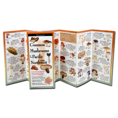 Common Mushrooms of the Pacific Northwest Folding Field Guide at Northwest Nature Shop in Ashland Oregon