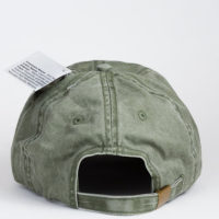 Great Horned Owl at Northwest nature Shop in Ashland Oregon