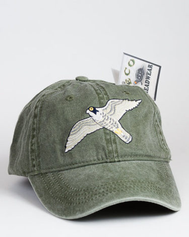 Peregrine Falcon Cap at Northwest Nature Shop in Ashland Oregon