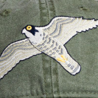 Peregrine Falcon Cap at Northwest Nature Shop in Ashland Oregon