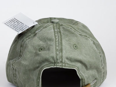 Peregrine Falcon Cap at Northwest Nature Shop in Ashland Oregon