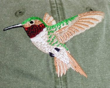 Ruby-Throated Hummingbird Cap at Northwest Nature Shop in Ashland Oregon