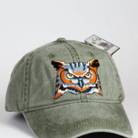 Great Horned Owl at Northwest nature Shop in Ashland Oregon