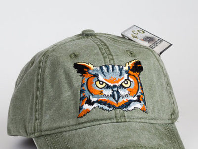 Great Horned Owl at Northwest nature Shop in Ashland Oregon