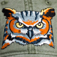 Great Horned Owl at Northwest nature Shop in Ashland Oregon