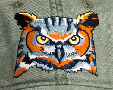 Great Horned Owl at Northwest nature Shop in Ashland Oregon