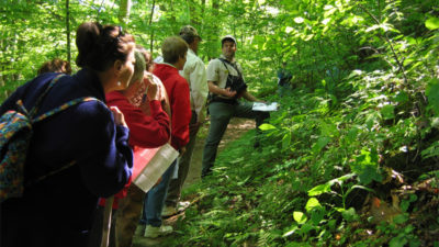 Edible Plants of Southwest Oregon