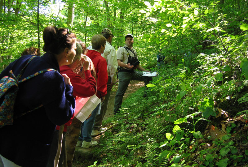 Edible Plants of Southwest Oregon