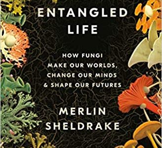 entangled life at Northwest Nature Shop in Ashland Oregon