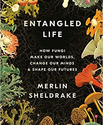 entangled life at Northwest Nature Shop in Ashland Oregon