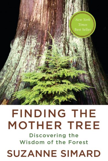 Finding the Mother Tree at Northwest Nature Shop in Ashland Oregon