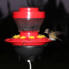 16oz Heated Hummingbird Feeder