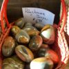 Polychrome Jasper