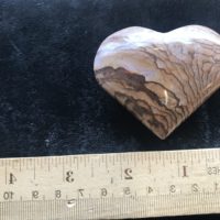 picture jasper at Northwest Nature Shop in Ashland Oregon