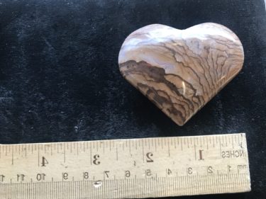 picture jasper at Northwest Nature Shop in Ashland Oregon