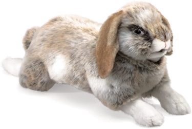 Folkmanis Holland Lop Rabbit at Northwest Nature Shop in Ashland Oregon