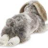 Folkmanis Holland Lop Rabbit at Northwest Nature Shop in Ashland Oregon
