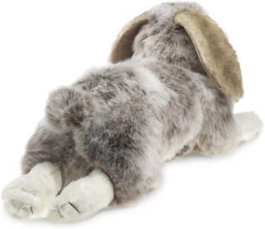 Folkmanis Holland Lop Rabbit at Northwest Nature Shop in Ashland Oregon