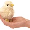 Folkmanis Mini Chick Finger Puppet at Northwest Nature Shop in Ashland Oregon