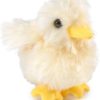 Folkmanis Mini Chick Finger Puppet at Northwest Nature Shop in Ashland Oregon