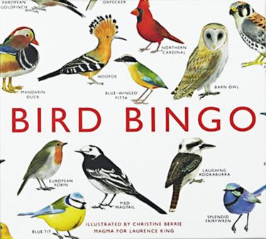 Bird Bingo illustrated by Christine Berrie