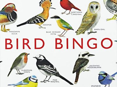 Bird Bingo illustrated by Christine Berrie