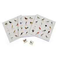 Bird Bingo illustrated by Christine Berrie