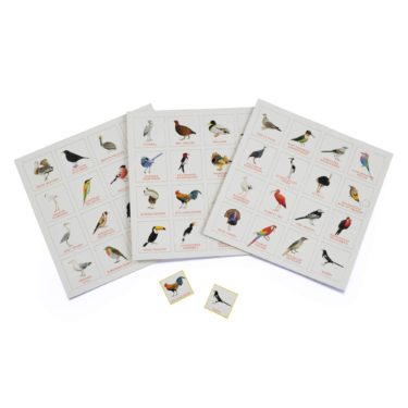 Bird Bingo illustrated by Christine Berrie