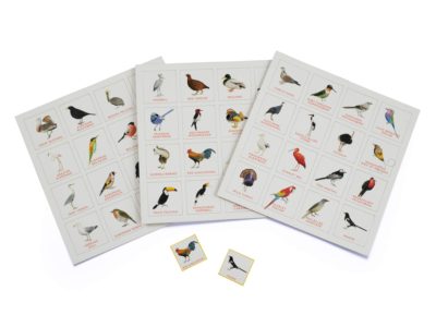 Bird Bingo illustrated by Christine Berrie