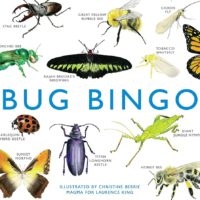Bug Bingo