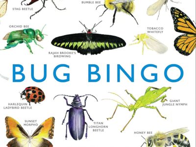 Bug Bingo