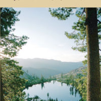 Shasta-Trinity National Forest