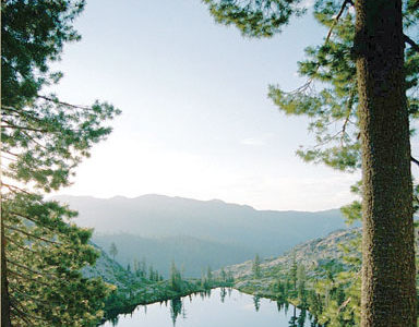 Shasta-Trinity National Forest