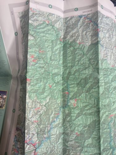 Shasta-Trinity National Forest