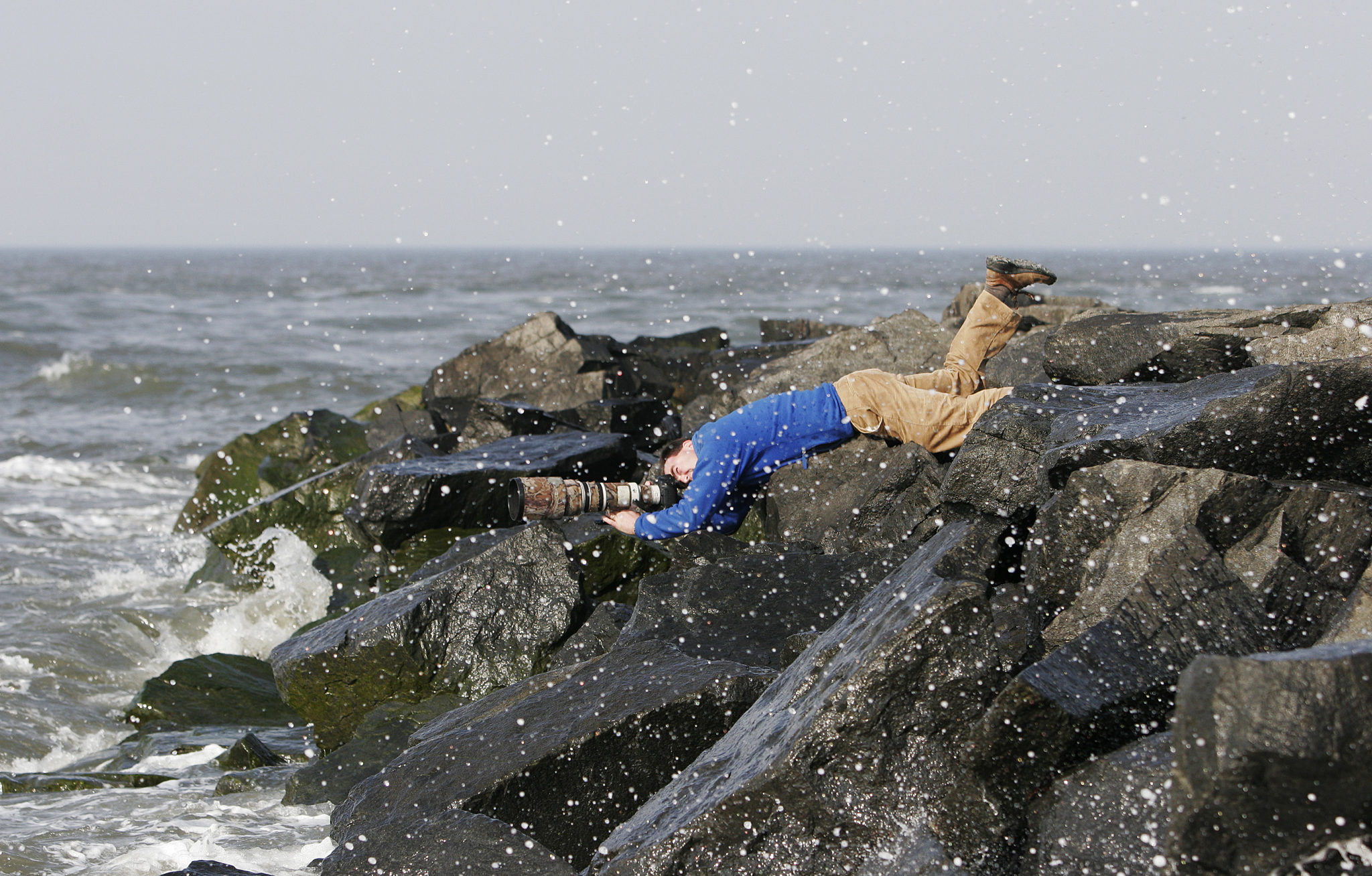 Birding Photography Workshop with Richard Crossley at Northwest Nature Shop in Ashland, Oregon