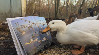 Richard Crossley Learning to Look Workshop at Northwest Nature Shop