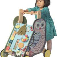 Wildwoods Owl Push Cart for Toddlers at Northwest Nature Shop in Ashland Oregon