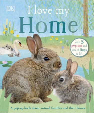 I love my home pop up book at Northwest Nature Shop in Ashland Oregon