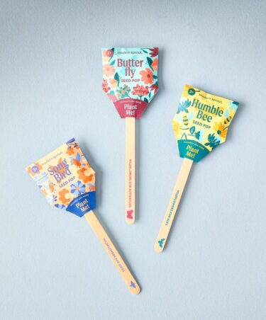 Pollinator Wildflower Seed Pops at Northwest Nature Shop Ashland Oregon