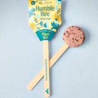 Pollinator Wildflower Seed Pops at Northwest Nature Shop Ashland Oregon