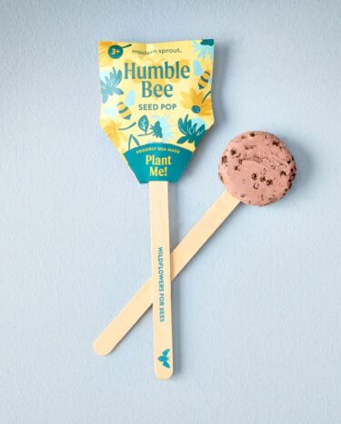 Pollinator Wildflower Seed Pops at Northwest Nature Shop Ashland Oregon