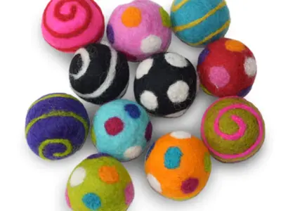 Northwest Nature Shop in Ashland Oregon