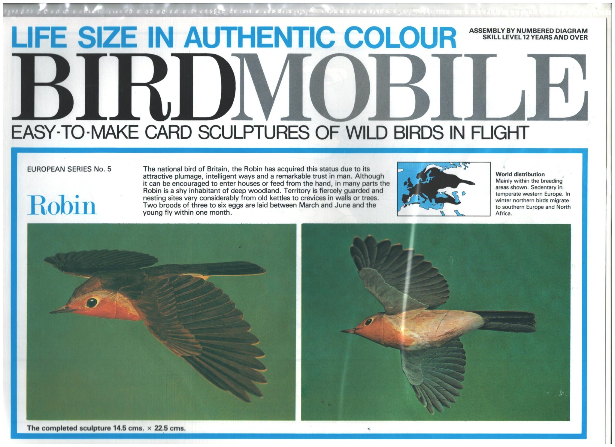 birdmobile robin life sized robin paper model