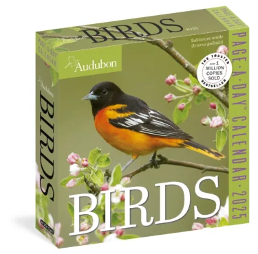 Audubon Birds 2025 page-a-day calendar picture