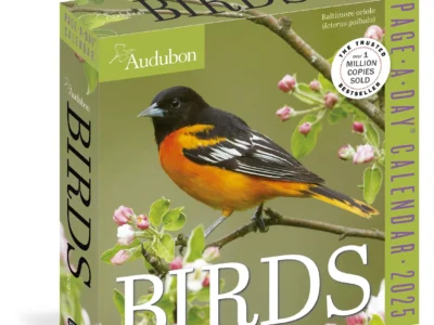 Audubon Birds 2025 page-a-day calendar picture