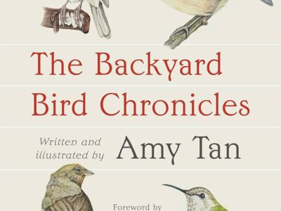 The Backyard Bird Chronicles by Amy Tan picture